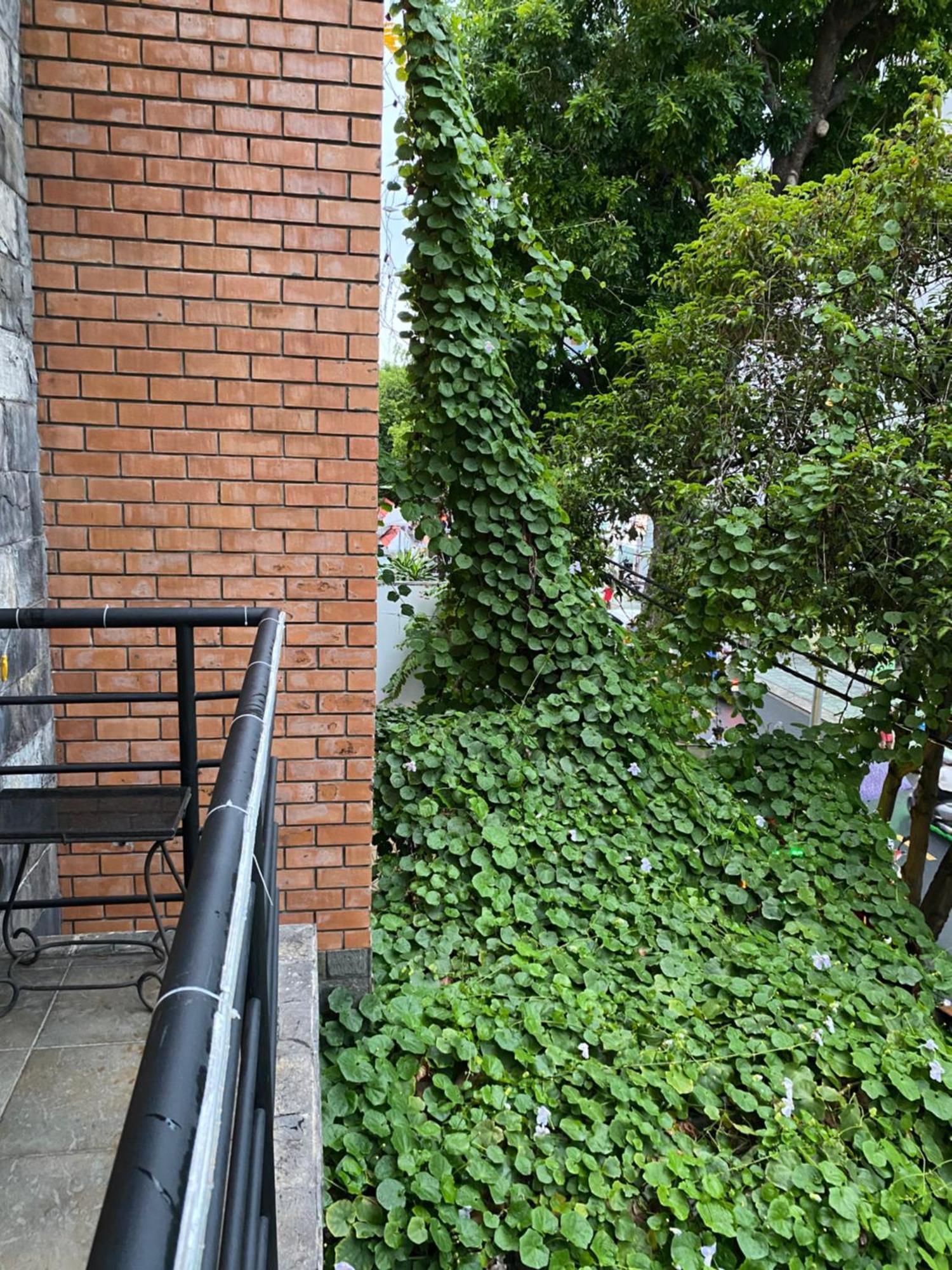 Готель Khach San Minh Chau - Hoa Hung Хошимін Екстер'єр фото